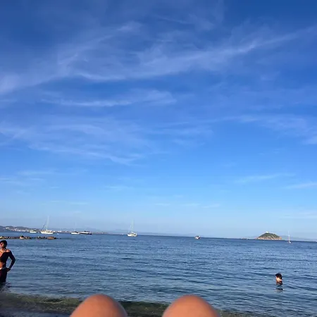 Oasibellavista * 卡沃