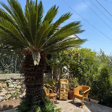 Oasibellavista * Cavo