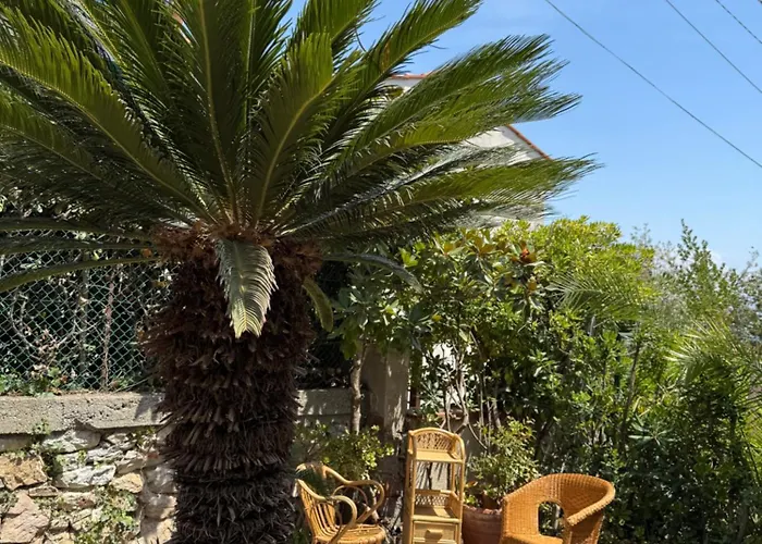 Oasibellavista * Cavo